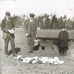 Men with chickens at Papworth