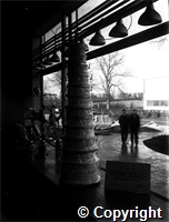 1140_36_03_282.jpg