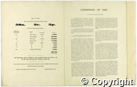 croc.bk.296_SP1058.p14-15.jpg