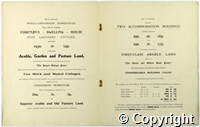 croc.bk.296_SP1058.p6-7.jpg