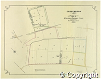 croc.bk.296_SP1058.pl.1.jpg