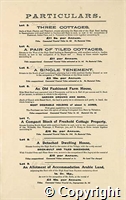 croc.bk.296_SP572.p4.jpg
