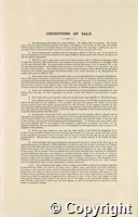 croc.bk.296_SP572.p6.jpg