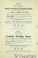 croc.bk.515_SP311.p07.jpg