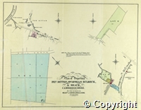 croc.bk.515_SP311.pl.jpg