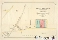 croc.bk.515_SP864.pl.jpg