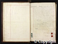 croc.bk.Q_RDc59a.o07.jpg
