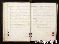 croc.bk.Q_RDc59a.o10.jpg