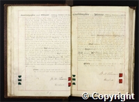 croc.bk.Q_RDc59a.o11.jpg