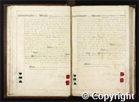 croc.bk.Q_RDc59a.o12.jpg