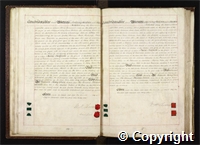 croc.bk.Q_RDc59a.o14.jpg