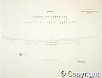 croc.bk.Q_RUm77.p50.jpg