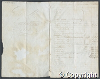 croc.bk.R55_7_123_2.o1.jpg