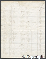 croc.bk.R55_7_123_2.o14.jpg