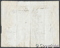 croc.bk.R55_7_123_2.o3.jpg