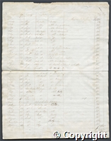 croc.bk.R55_7_123_2.o7.jpg