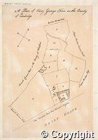 croc.bk.R60_7_1.p62.jpg