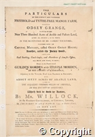 croc.bk.R60_7_1.p63.jpg