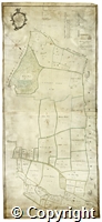 croc.ma.124_P64.jpg