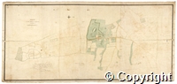 croc.ma.R56_16_23.jpg