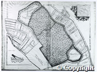 croc.ma.TR274_P1.3.jpg