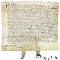 croc.ms.101_T241.f.jpg