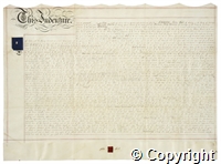 croc.ms.132_T.991.jpg