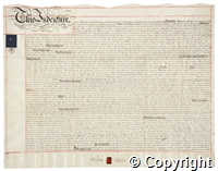 croc.ms.132_T.993.jpg