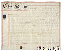 croc.ms.132_T.994.jpg