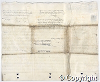 croc.ms.132_T249.b.jpg
