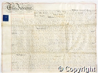 croc.ms.132_T249.p1.jpg