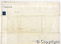 croc.ms.132_T249.p2.jpg