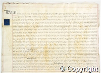 croc.ms.132_T249.p3.jpg