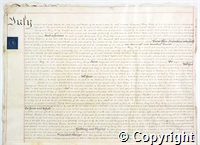 croc.ms.132_T249.p4.jpg