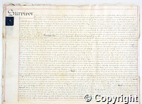 croc.ms.132_T249.p5.jpg