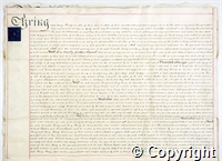 croc.ms.132_T249.p6.jpg
