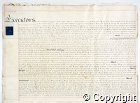 croc.ms.132_T249.p7.jpg