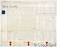 croc.ms.132_T249.p8.jpg