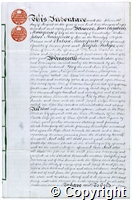 croc.ms.132_T431.p1.jpg