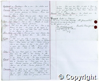 croc.ms.132_T437.p8-9.jpg