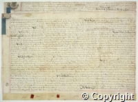 croc.ms.132_T_1064.p1.jpg