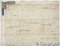 croc.ms.132_T_1064.p2.jpg