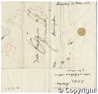 croc.ms.17_C32_8.f.jpg