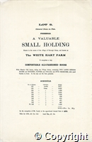 croc.ms.515_SP444.p8.jpg