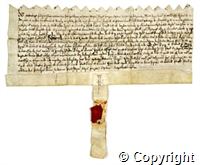 croc.ms.588_T321.jpg
