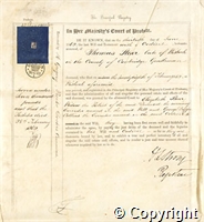croc.ms.757_F51.probate.jpg