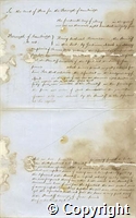 croc.ms.CB_12_13_171.jpg