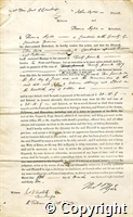 croc.ms.CB_12_6_13.p1.jpg