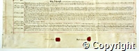 croc.ms.CB_2_CL_16_293_2.det.jpg