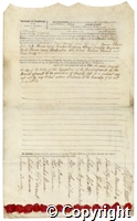 croc.ms.CB_Co_P3_33.jpg